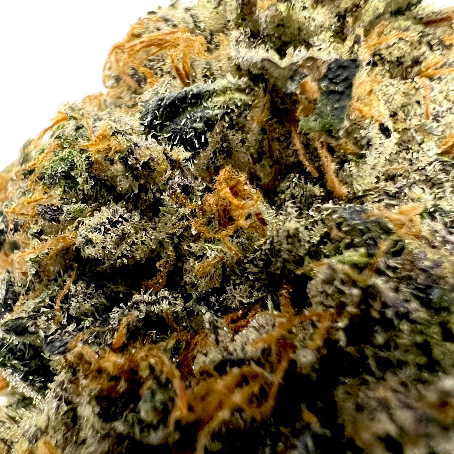 Cotton Candy 2 Cotton Candy - Image 2