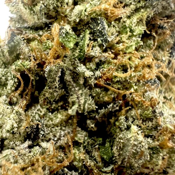 Platinum Rockstar - Image 2