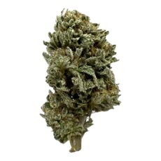 Gorilla Butter Marijuana Strain