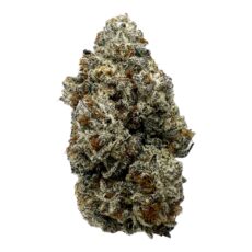 Oreoz Marijuana Strain