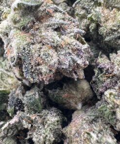 Passout Pink Mediums