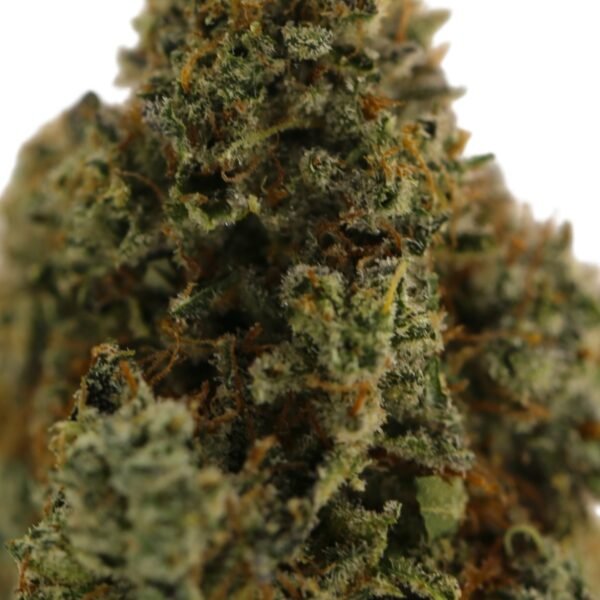Frosted Fruit Cake - Image 2