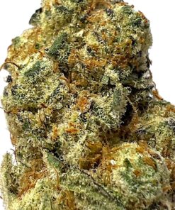 Glitter Bomb 3 Glitter Bomb