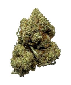 Gorilla Glue #4 (OLD BATCH)