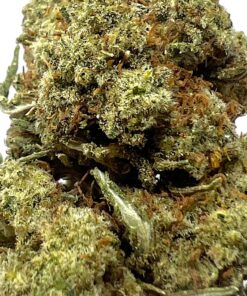 Gorilla Glue #4 (OLD BATCH)