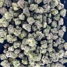 Pink Rockstar Mediums