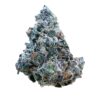 Gas Truffle 4 Photoroom 000 20241121 191815