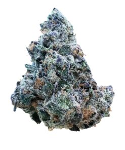 Photoroom 000 20241121 191815