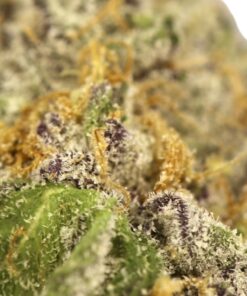 Kush Mints Mediums 3 Photoroom 000 20250522 193319 1