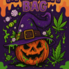 MYSTERY BAGS 2 7x10inch 18x25.58cm FRONT