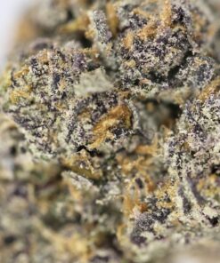 Permanent Sherb 3 Permanent Sherb