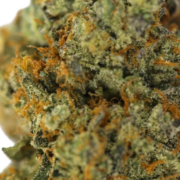 Death Stars - Image 2