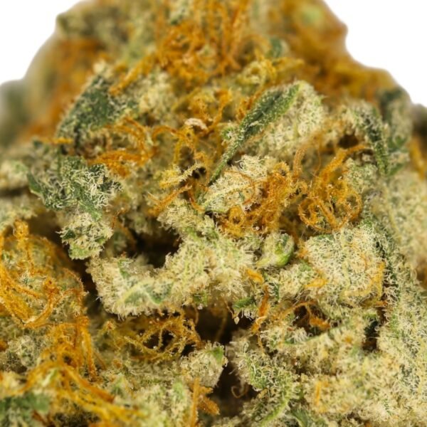 Super OG - Image 2
