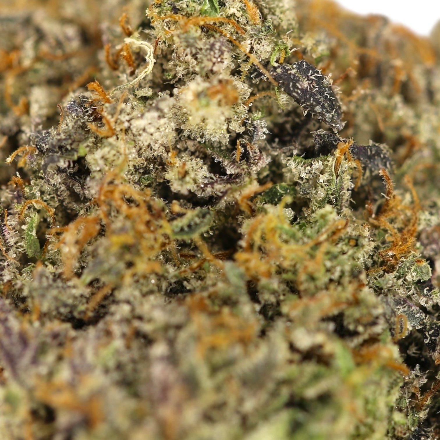 94 Octane 2 94 Octane - Image 2