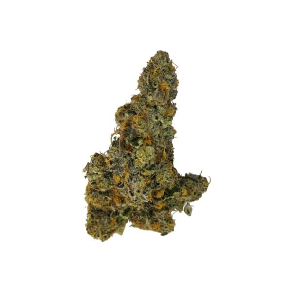 Animal Cookies