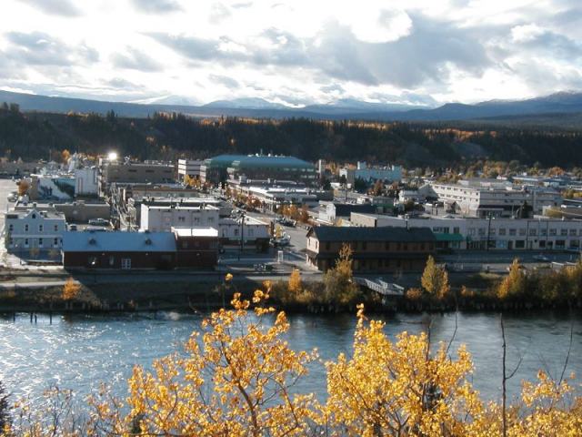 Weed Near Me - Order Weed Delivery Online 59 Yukon