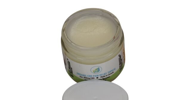 250 CBD Pain Cream - Image 2