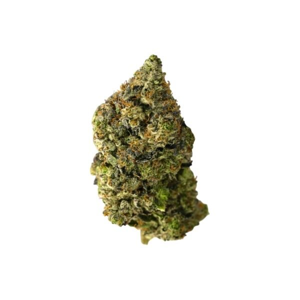 Pinetar Strain
