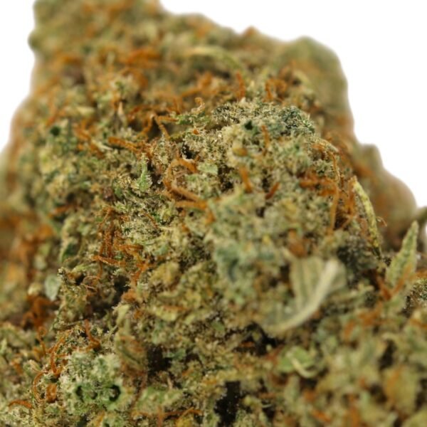Death Bubba - Image 2