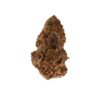 Super Buff Cherry weed strain