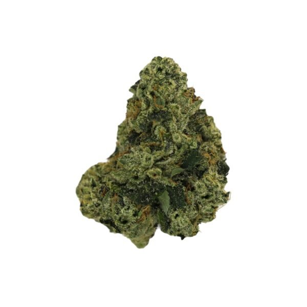 Legend OG
