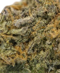 Pink Kush