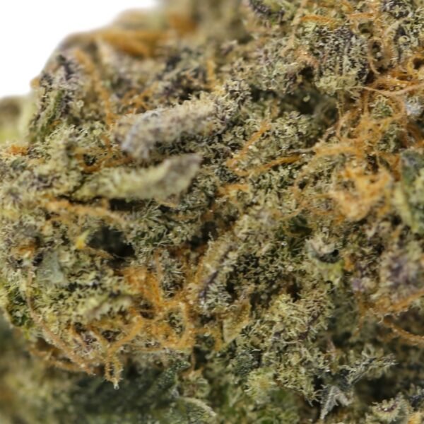 Pink Kush - Image 2