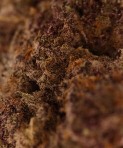 Photoroom 001 20250726 210129