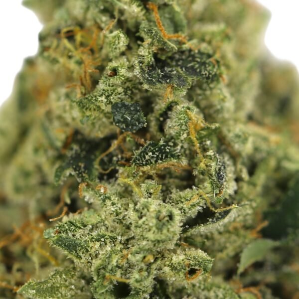 Legend OG - Image 2
