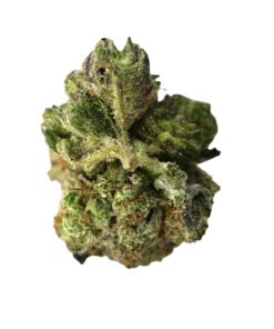 Pinetar Mediums 3 Pinetar Mediums