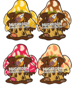 Magic Mushroom Chocolate Bites 4000 MG