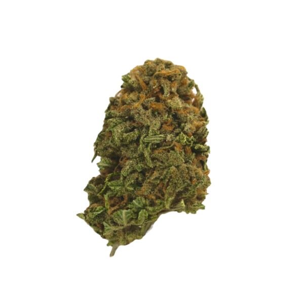Animal Cookies