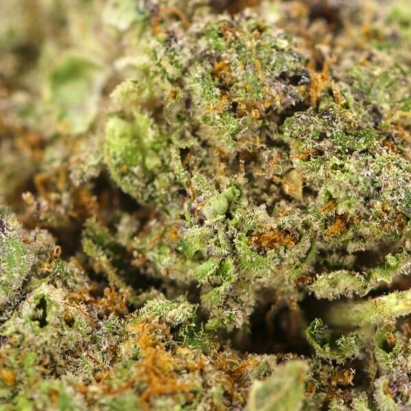 Dolce De Uva - Image 2