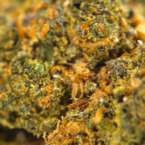 Purple Haze - Image 2