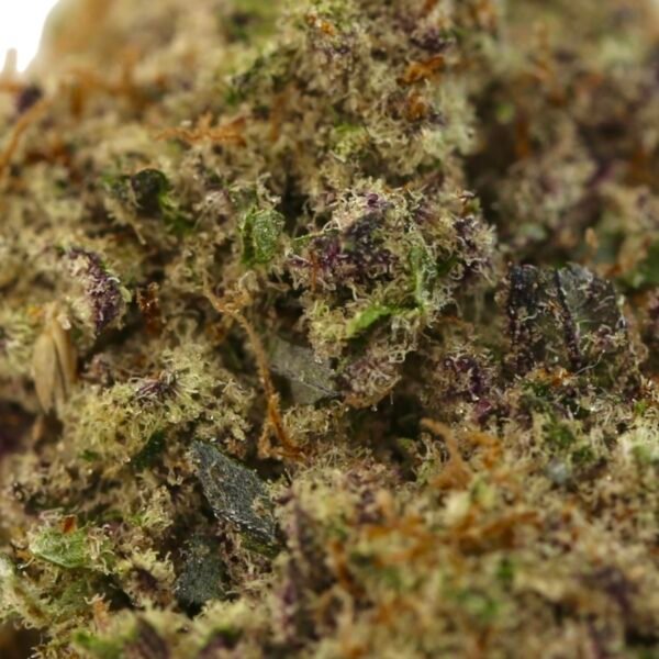 Bruce Banner - Image 2