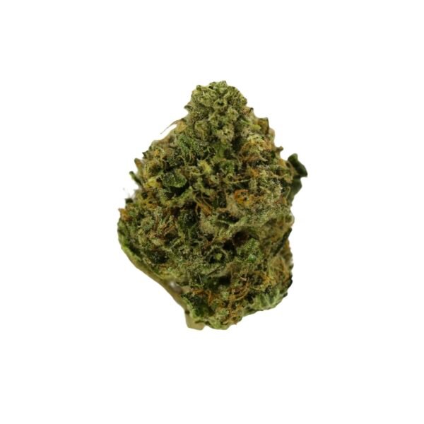 Apple Fritter