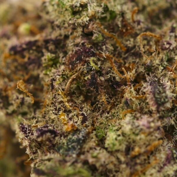GodFather OG - Image 2