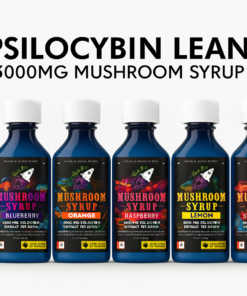 3000MG Mushroom Lean