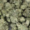 Blueberry Muffin Smalls 4 Apple Pie Smalls