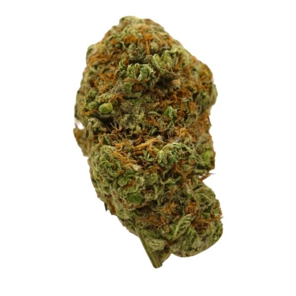 Girl Scout Cookies Strain