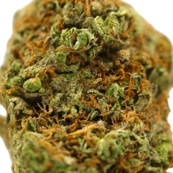 Girl Scout Cookies - Image 2