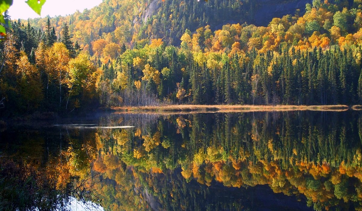 Weed Near Me - Order Weed Delivery Online 57 Near Sagar