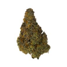 Jealousy X Frosted Fruit Cake