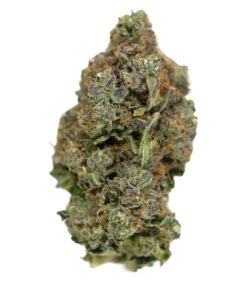 Permanent Marker X Zoup