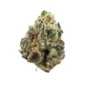 Citrus Tangie