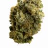 Tangerine Cookies #48