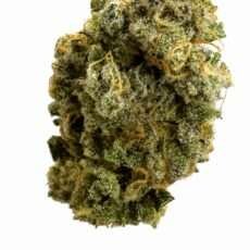 Tangerine Cookies #48