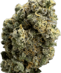 Tangerine Cookies #48 3 Tangerine Cookies #48