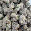 Hitman OG Mediums - Product Image