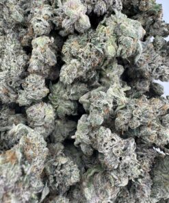 Purple Coffee Mediums - Product Image